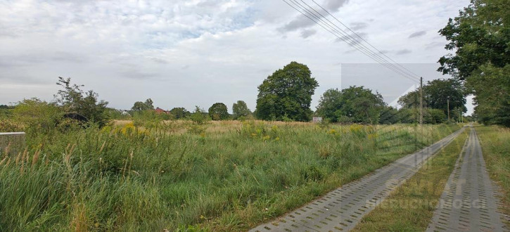 Działka Sprzedaż Białuń 2