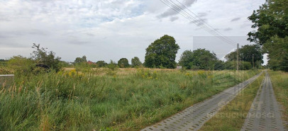 Działka Sprzedaż Białuń