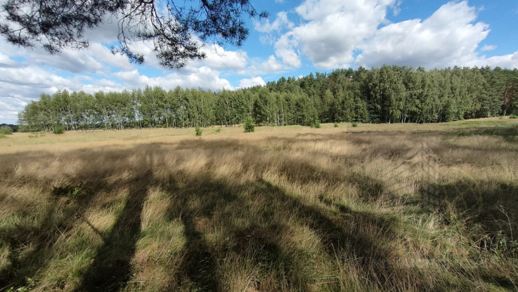 Działka Sprzedaż Komarowo 5