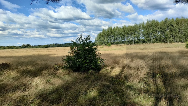 Działka Sprzedaż Komarowo 6