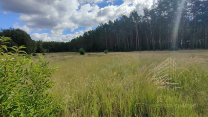 Działka Sprzedaż Komarowo