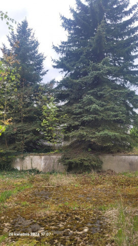 Działka Sprzedaż Recz Kolejowa 1