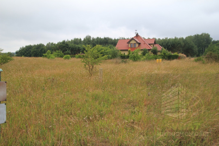 Działka Sprzedaż Charzyno 1