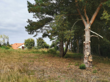Działka Sprzedaż Szczecin Jezierzyce