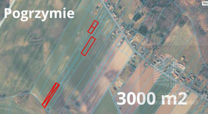 Działka Sprzedaż Pogrzymie