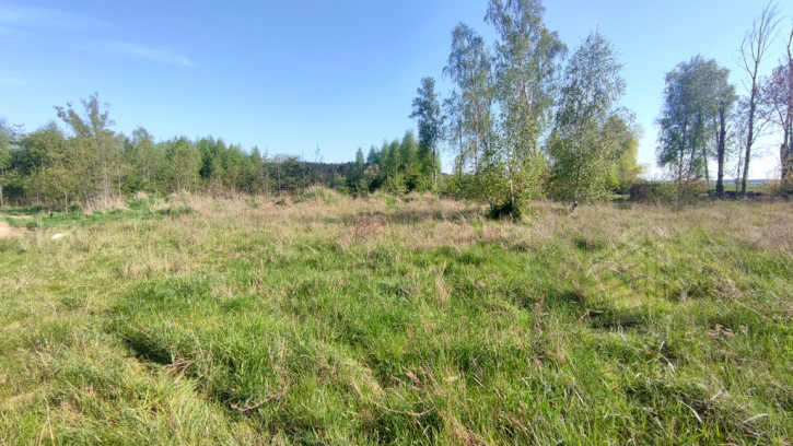 Działka Sprzedaż Sławoszewo 4
