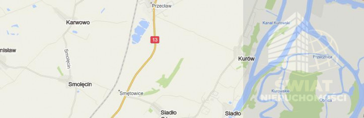 Działka Sprzedaż Kurów 3