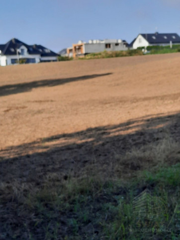 Działka Sprzedaż Kurów 5