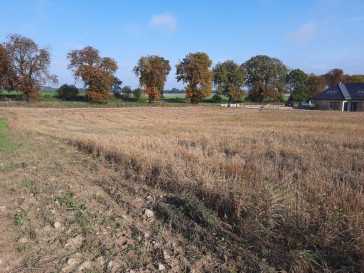 Działka Sprzedaż Kurów