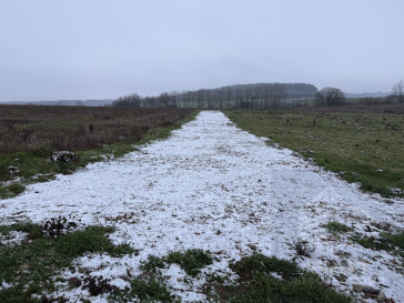Działka Sprzedaż Stare Czarnowo