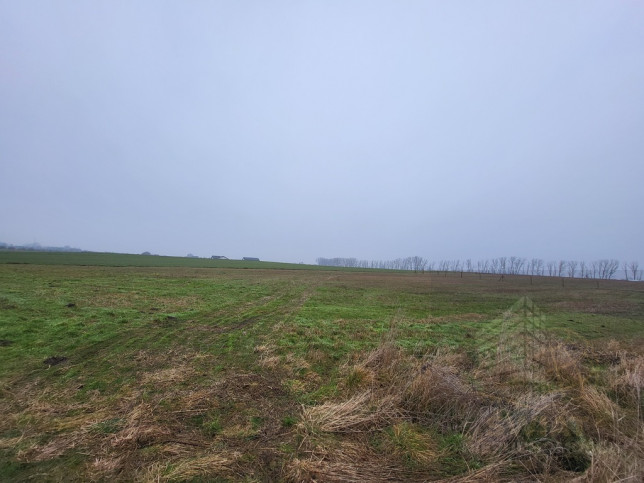 Działka Sprzedaż Warzymice 3