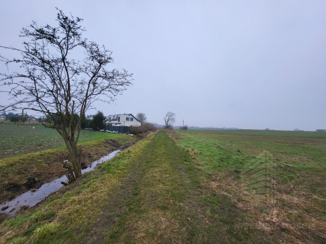 Działka Sprzedaż Warzymice 1