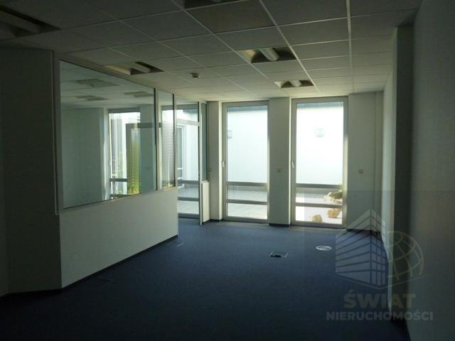 Lokal Wynajem Szczecin Centrum 8