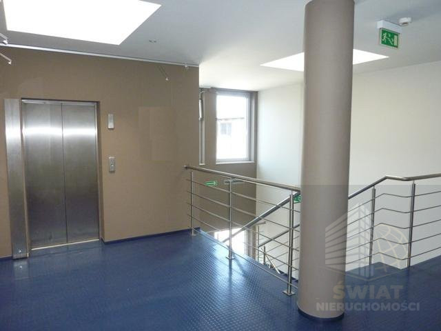 Lokal Wynajem Szczecin Centrum 17