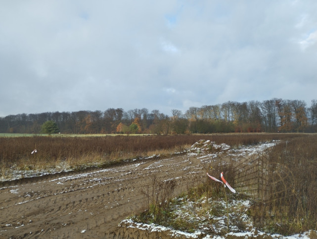 Działka Sprzedaż Dobropole Gryfińskie 3
