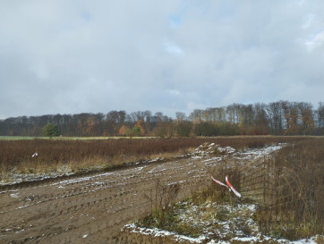 Działka Sprzedaż Dobropole Gryfińskie