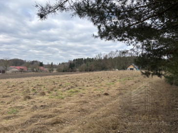 Działka Sprzedaż Kikorze