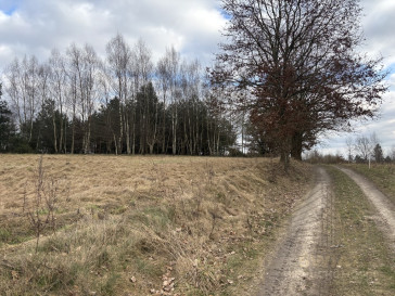 Działka Sprzedaż Kikorze
