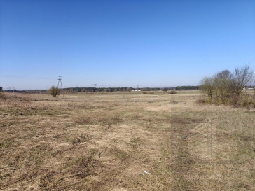 Działka Sprzedaż Motaniec