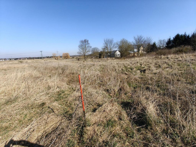 Działka Sprzedaż Motaniec 3