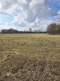 Działka Sprzedaż Rzędziny