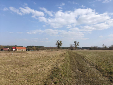 Działka Sprzedaż Żarnowo
