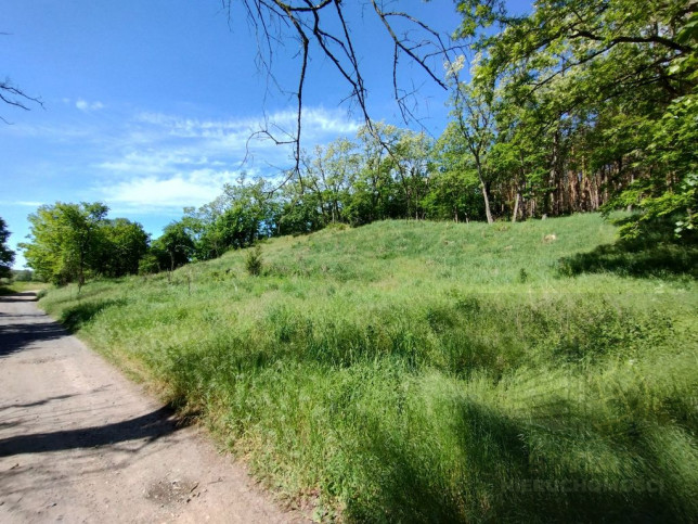 Działka Sprzedaż Stary Błeszyn 7