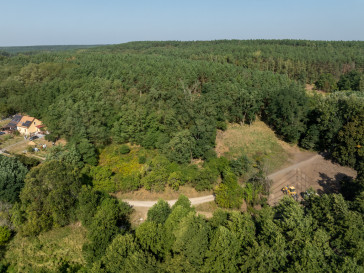 Działka Sprzedaż Stary Błeszyn