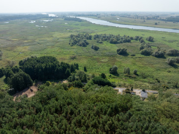 Działka Sprzedaż Stary Błeszyn