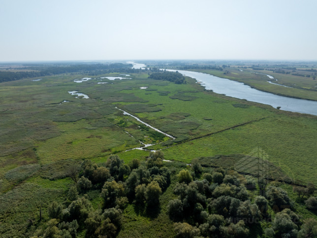 Działka Sprzedaż Stary Błeszyn 14