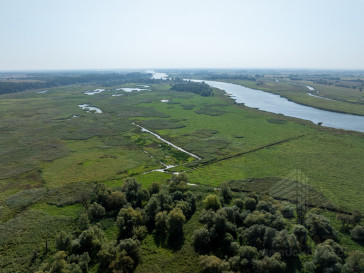 Działka Sprzedaż Stary Błeszyn