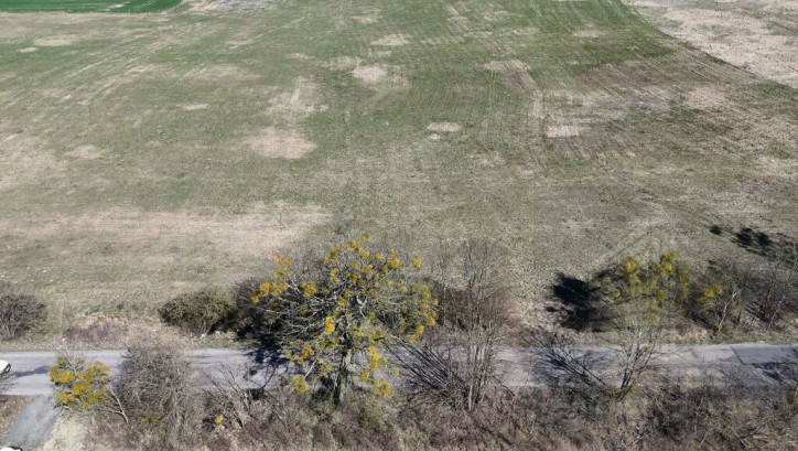 Działka Sprzedaż Buk 14