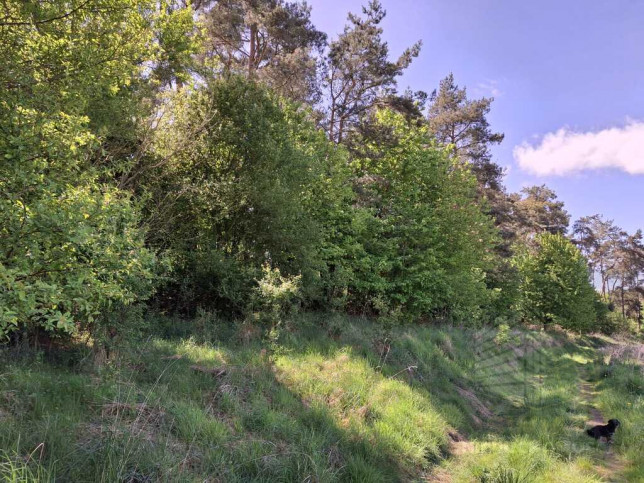 Działka Sprzedaż Parsów 3