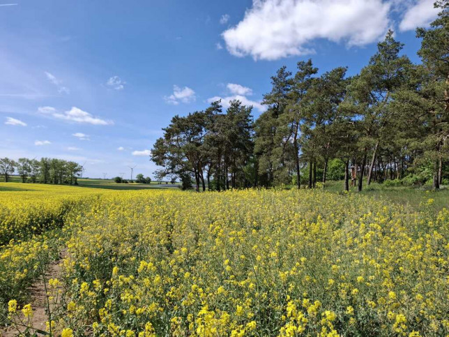 Działka Sprzedaż Parsów 4
