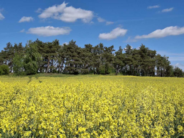 Działka Sprzedaż Parsów 1