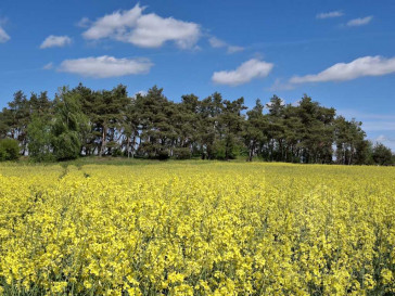 Działka Sprzedaż Parsów