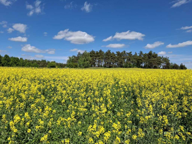 Działka Sprzedaż Parsów 6