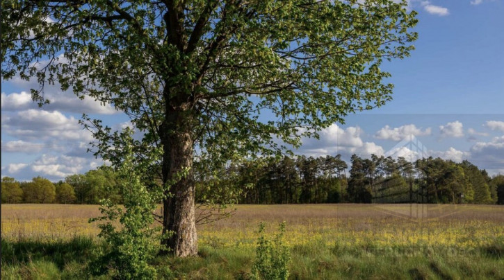 Działka Sprzedaż Jarnatów 1