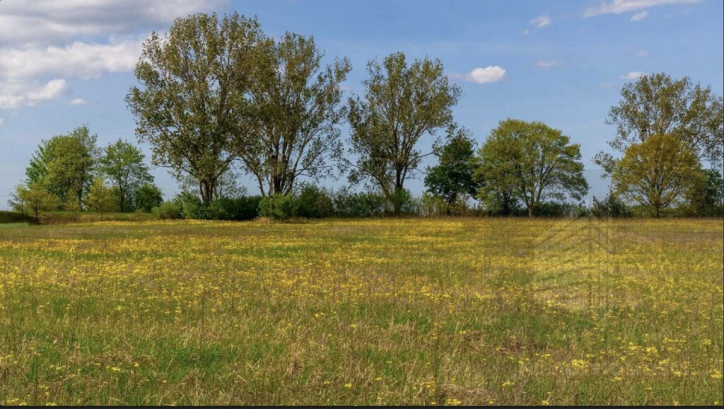 Działka Sprzedaż Jarnatów 2