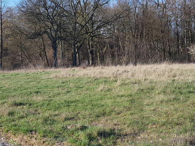 Działka Sprzedaż Kościno 6