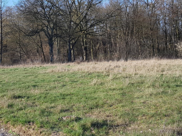 Działka Sprzedaż Kościno