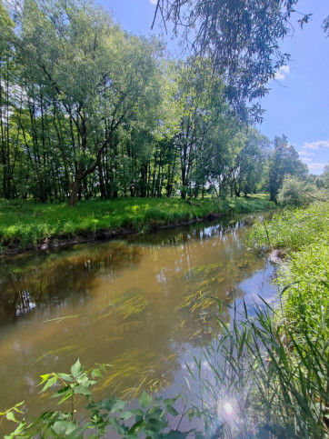 Działka Sprzedaż Żarowo 7