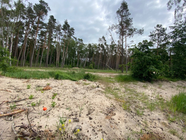 Działka Sprzedaż Dziwnówek 8