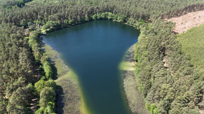 Działka Sprzedaż Byszyno