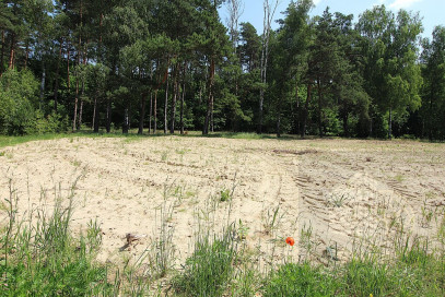 Działka Sprzedaż Grabowo