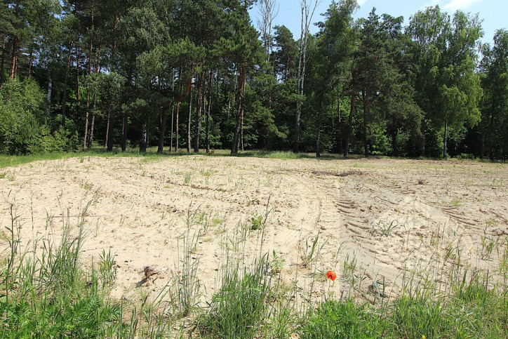 Działka Sprzedaż Grabowo 3
