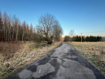 Działka Sprzedaż Błotno Błotny Młyn