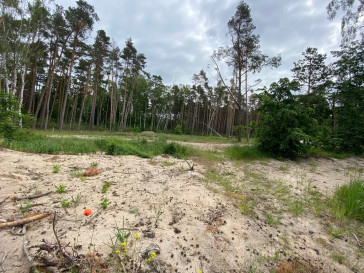 Działka Sprzedaż Dziwnówek