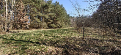 Działka Sprzedaż Nowogard