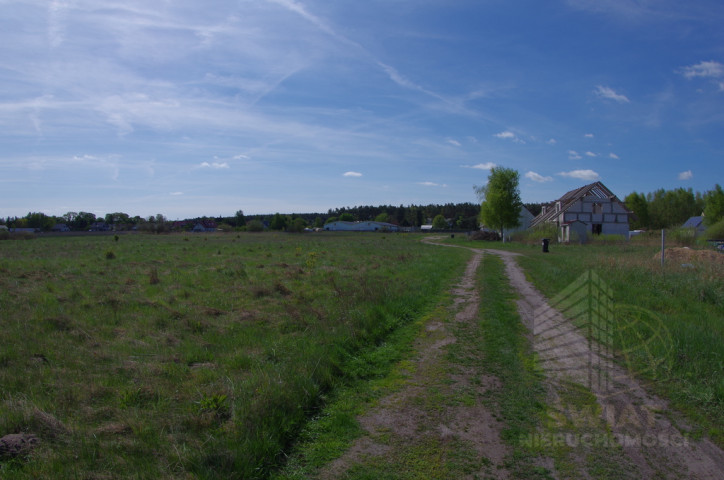 Działka Sprzedaż Niedźwiedź 6